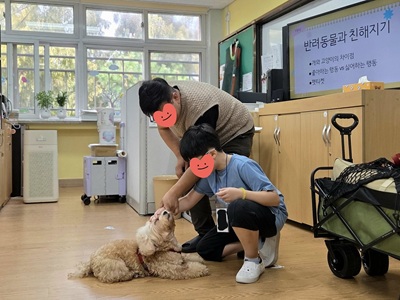 댕냥이랑 회복챌린지 02