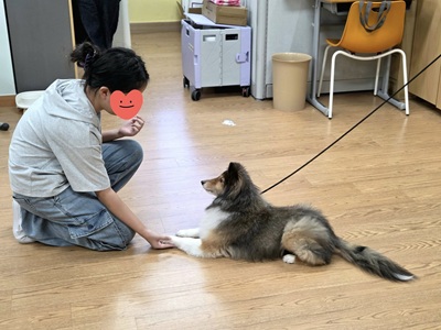 댕냥이랑 회복챌린지 03