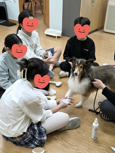 댕냥이랑 회복챌린지 01