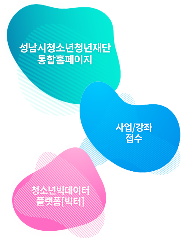성남시청소년청년재단 퀵메뉴-성남시청소년청년재단 통합홈페이지, 사업/강좌 접수, 청소년빅데이터 플랫폼[빅터]